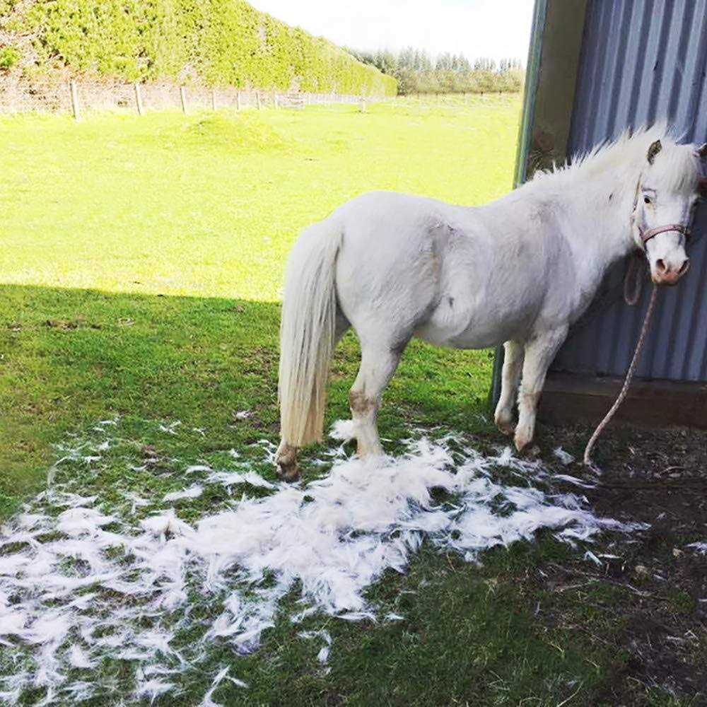 Deshedding Brush for Horses Y442