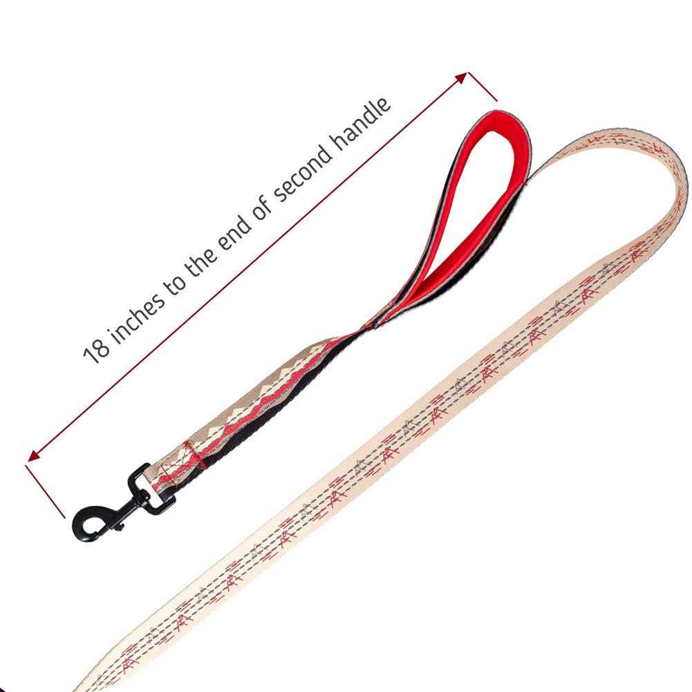 6ft Dog Leash Padded Handle M5191