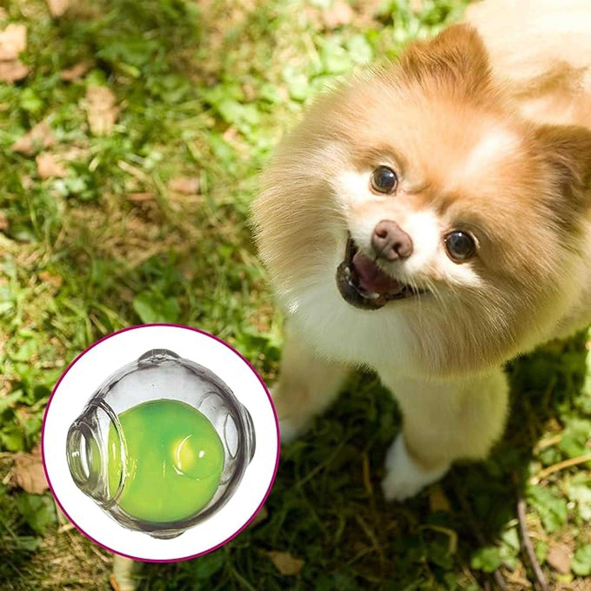 Squeaker Ball Pet V865